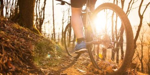 financial fitness cycling