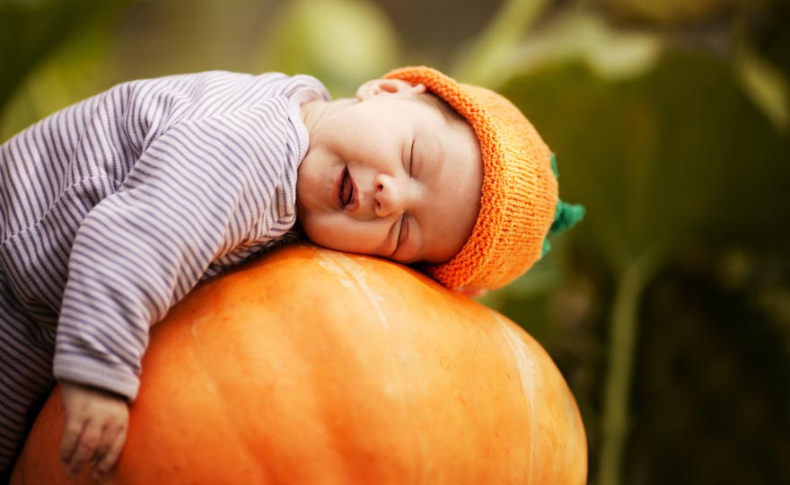 pumpkin life insurance larger