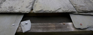 broken roof home emergency cover