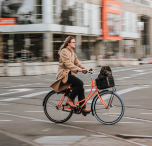 cycle insurance