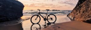 Bicycle Insurance